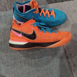 Nike Lebron Sneakers